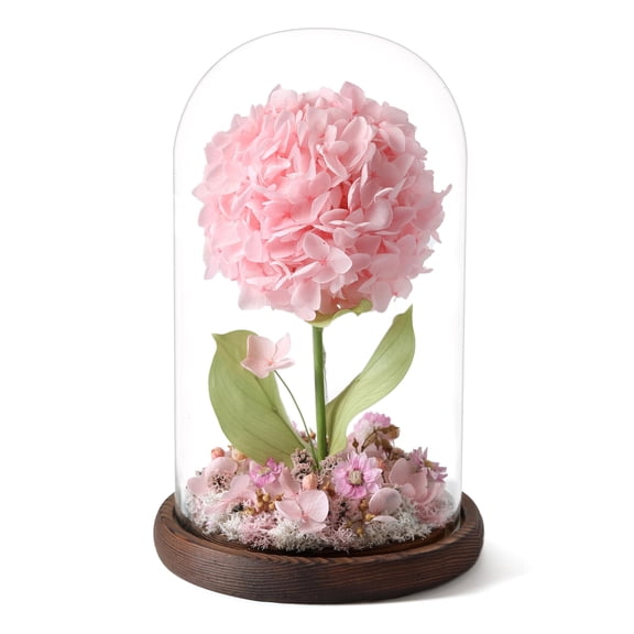 Pink Preserved Hydrangeas Mini Garden Decor