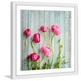 thumbnail image 1 of "Pink Ranunculus" Framed Painting Print, 1 of 6