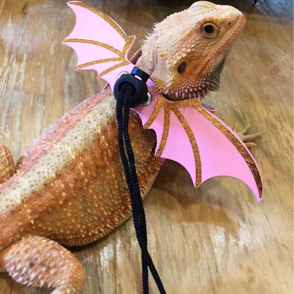 Pink Reptile Leash Set - Suitable for Daily Outdoor Use with Reptile Pets (Bearded Dragon, Lizards, etc.)