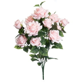 Pink Rose Bush by Ashland