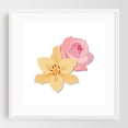 thumbnail image 1 of Pink Rose and Day Lily - Illustration Floral Flowers Botanical Modern Art Pastel Minimalist Nature White Framed Wall Art Print 8 x 8 inches, 1 of 3