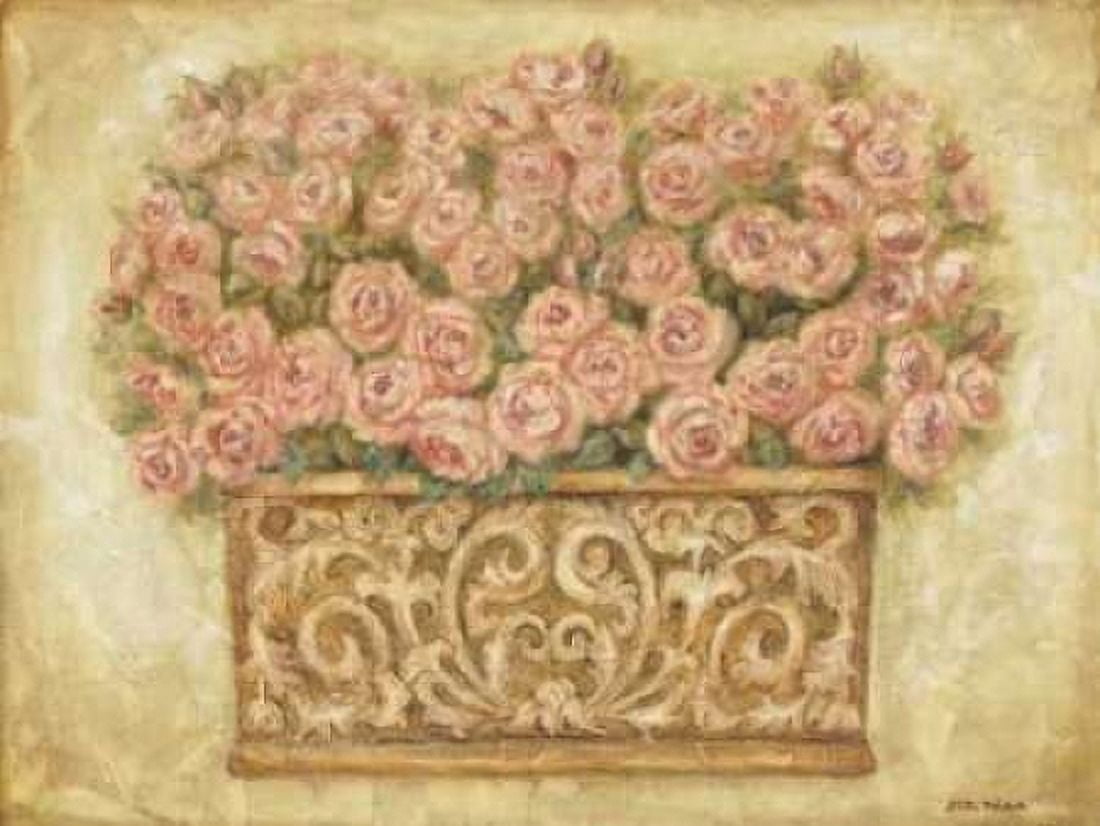 Pink Roses Canvas Art - Eva Misa (18 x 24)