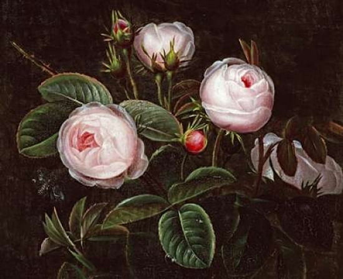 Pink Roses Canvas Art - Johan Laurents Jensen (24 x 30)