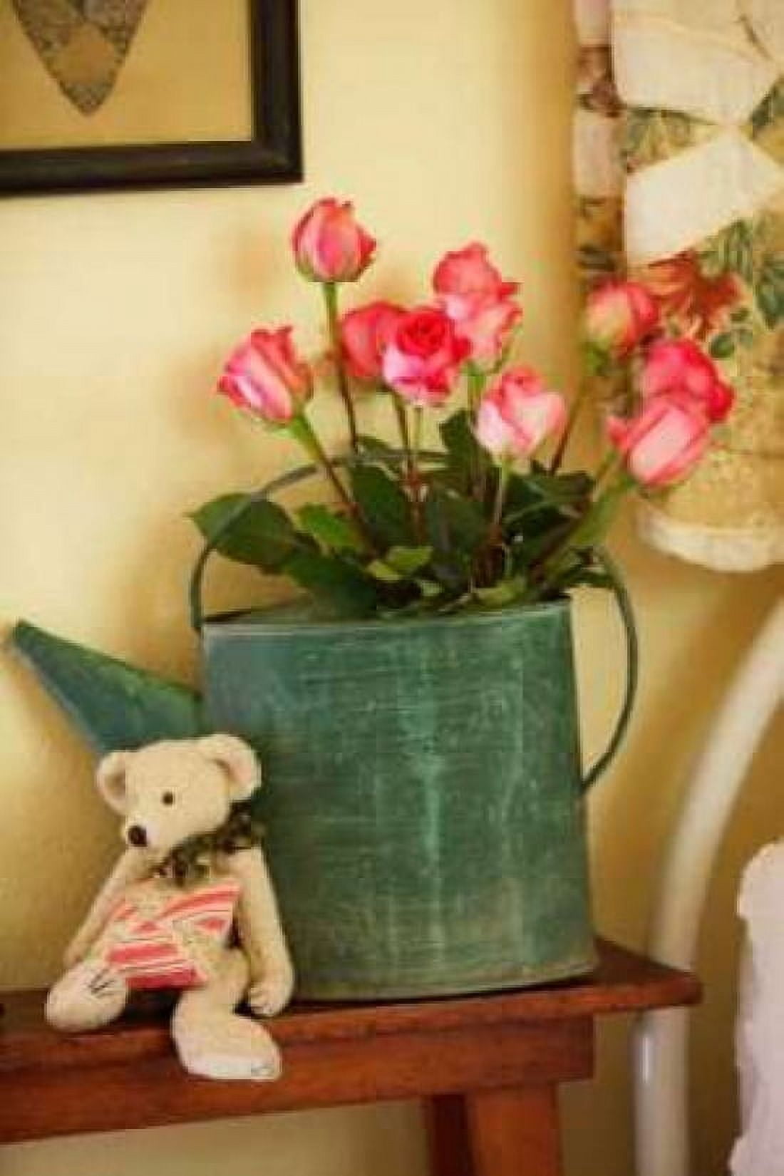 Pink Roses II Canvas Art - Philip Clayton-Thompson (12 x 18)