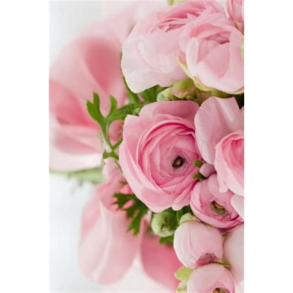 Pink Roses: Light Pink Roses Express Gentleness and Admiration While Dark Pink Roses Show Gratitude. (Paperback)