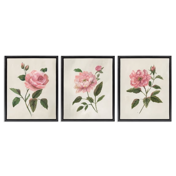 Stupell Industries Pink Rosie Rose Florals 3 Piece Black Framed Floater Canvas Set, design by Nan, 21 x 17