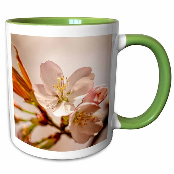 3drose, Pink Sakura Cherry Blossom Flowers, Orange Leaves, Beige Background, 11oz Two-tone Green Mug