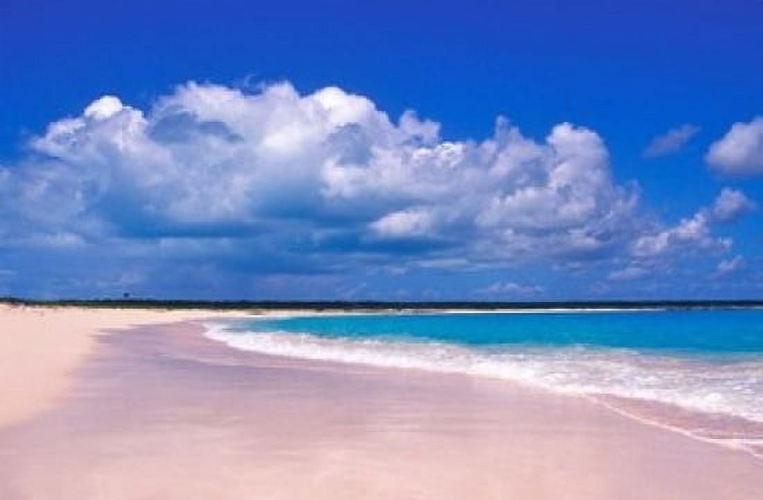 Pink Sand Beach Harbour Island Bahamas Canvas Art - Greg Johnston DanitaDelimont (18 x 11)