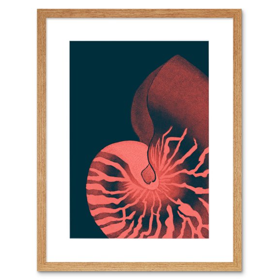 Pink Seashell Nautilus Artwork Framed Wall Art Print 9X7 Inch