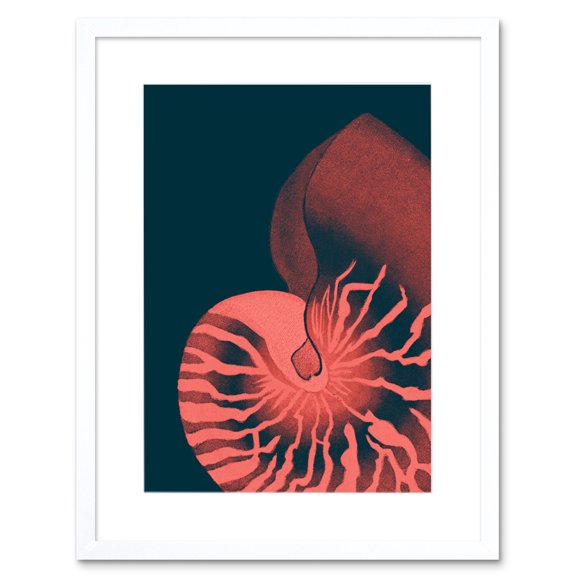 Pink Seashell Nautilus Artwork Framed Wall Art Print 9X7 Inch