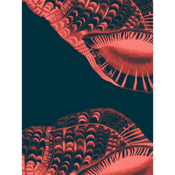 Pink Seashell Patterned Extra Large XL Wall Art Poster Print