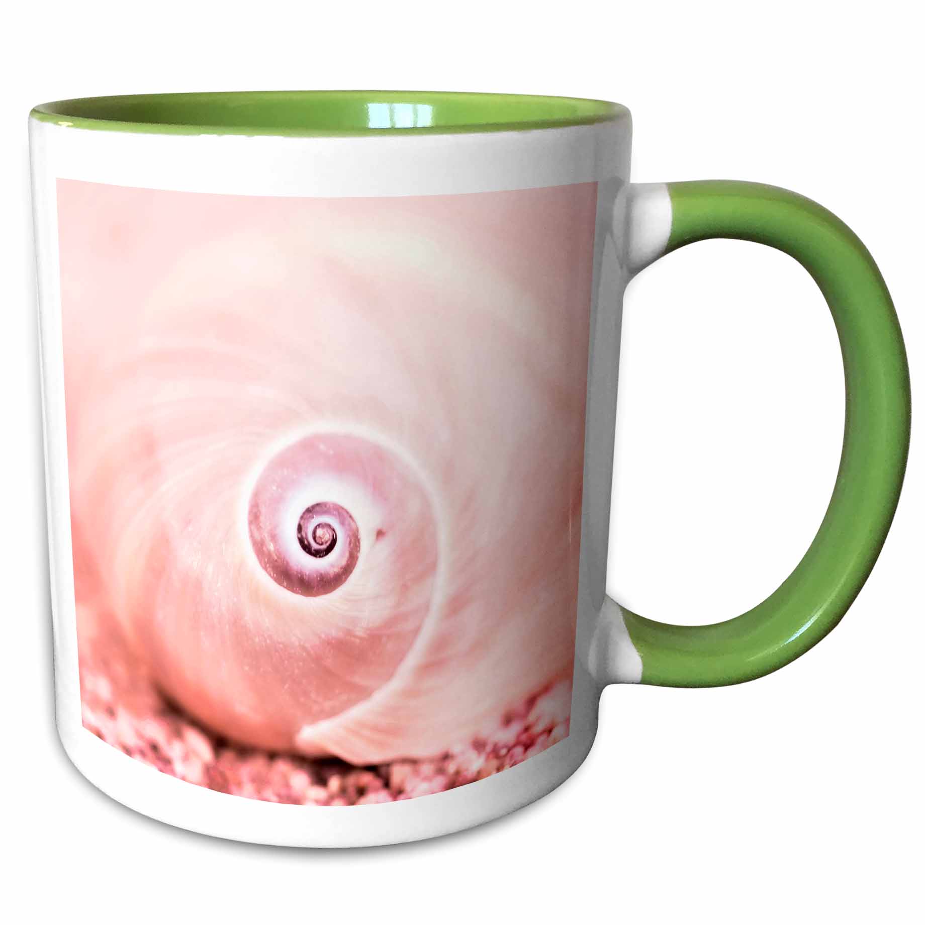 Pink Snail Shell 3drose, Pink Snail Shell at Beach, 11oz Two-tone Green Mug - Walmart.com