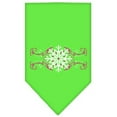 thumbnail image 1 of Mirage Pet Pink Snowflake Swirls Screen Print Bandana Lime Green Large, 1 of 9