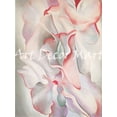 thumbnail image 1 of Pink Sweet Peas-O'Keeffe - CANVAS OR FINE PRINT WALL ART, 1 of 1