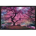 thumbnail image 1 of Pink Tree 2 by Moises Levy Wall Poster, 14.725" x 22.375" Framed, 1 of 5