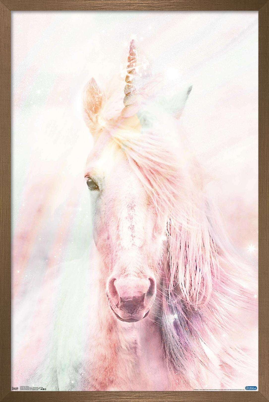 Pink Unicorn Wall Poster, 14.725" x 22.375", Framed