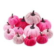 thumbnail image 1 of Pink Velvet Pumpkin Decor, Velvet Pumpkins, Halloween Pumpkin Decorations, Fall Decorations for Home, 12-Piece Assorted Shades Pink Artificial Flocked Pumpkin Set for Halloween,, 1 of 3