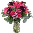 thumbnail image 1 of Pink Velvet, 1 of 2