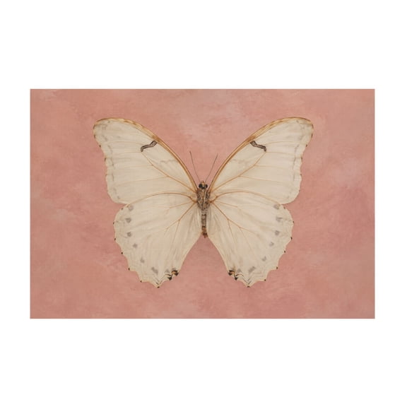 Pink Vintage Butterfly Canvas Wall Art Neutral Moody Insect Farmhouse Decor for Living Room Bedroom Bathroom Office 12*18in