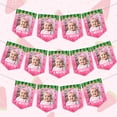 thumbnail image 1 of Pink Watermelon Theme Photo Banner Watermelon 1st Birthday Party Decorations for Baby Girls Summer Fruit Watermelon Monthly Photo Banner From Newborn To 12 Months, 1 of 7