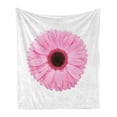 thumbnail image 1 of Pink and White Soft Flannel Fleece Blanket, Fresh Gerber Daisy Garden Plants of Spring Growth Single Flower Image, Cozy Plush for Indoor and Outdoor Use, 70" x 90", Pale Pink White, by Ambesonne, 1 of 6