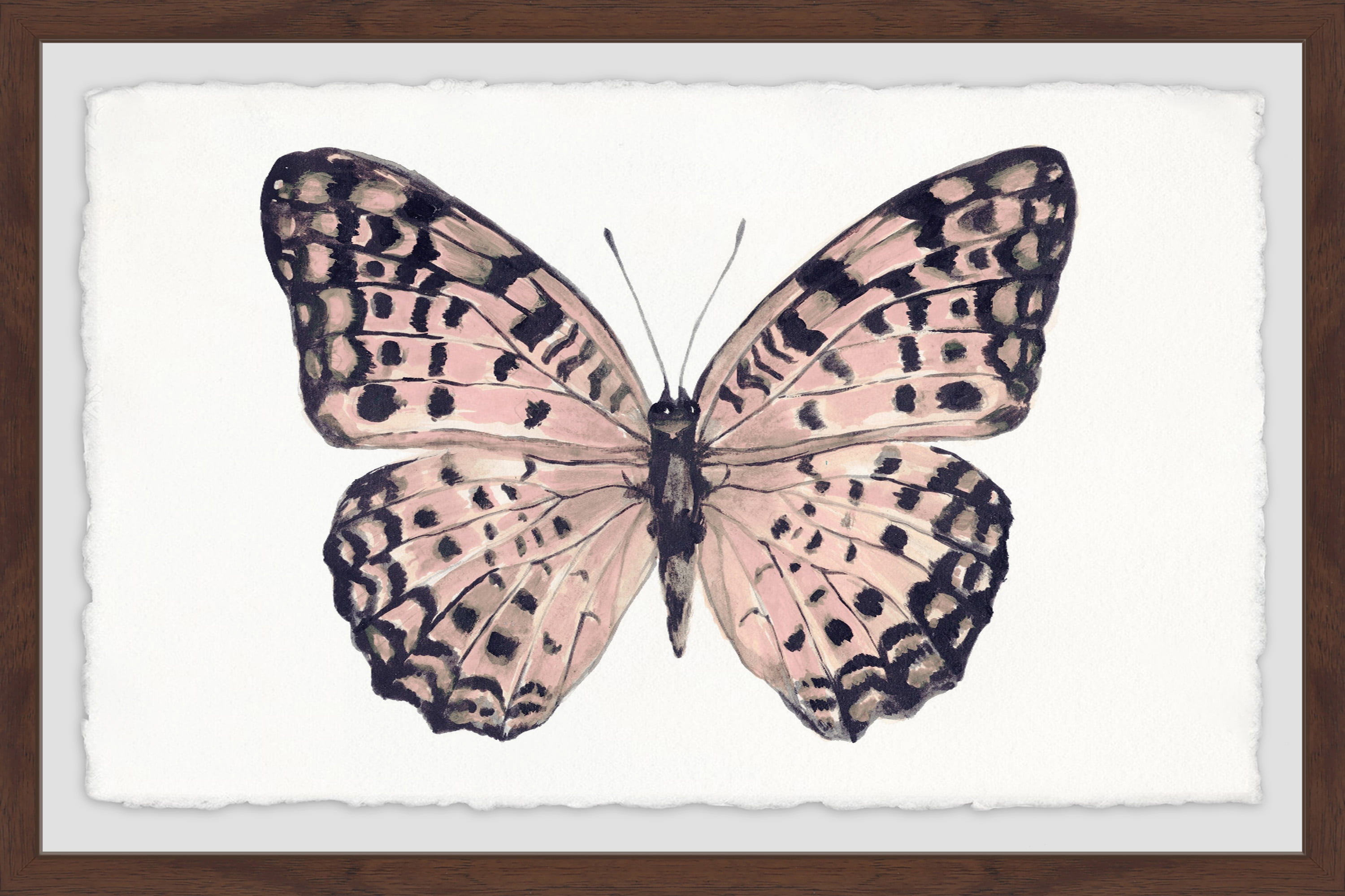Pink and Black Wings Framed Painting Print