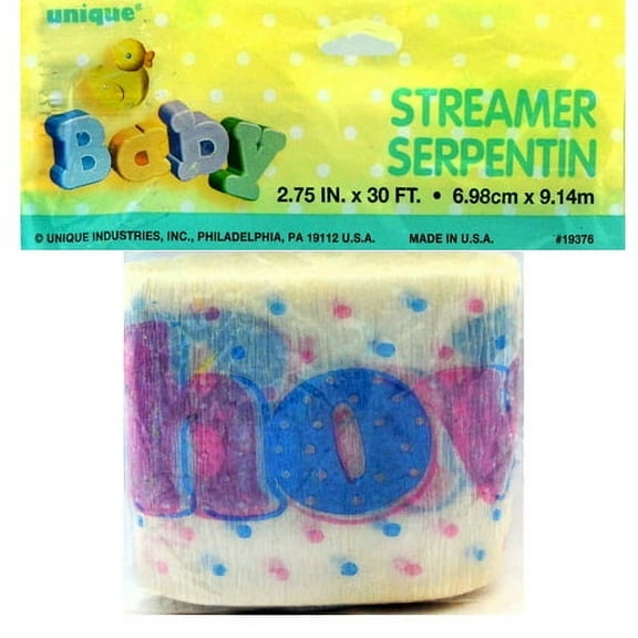 Pink and Blue Baby Shower Streamer (30ft)