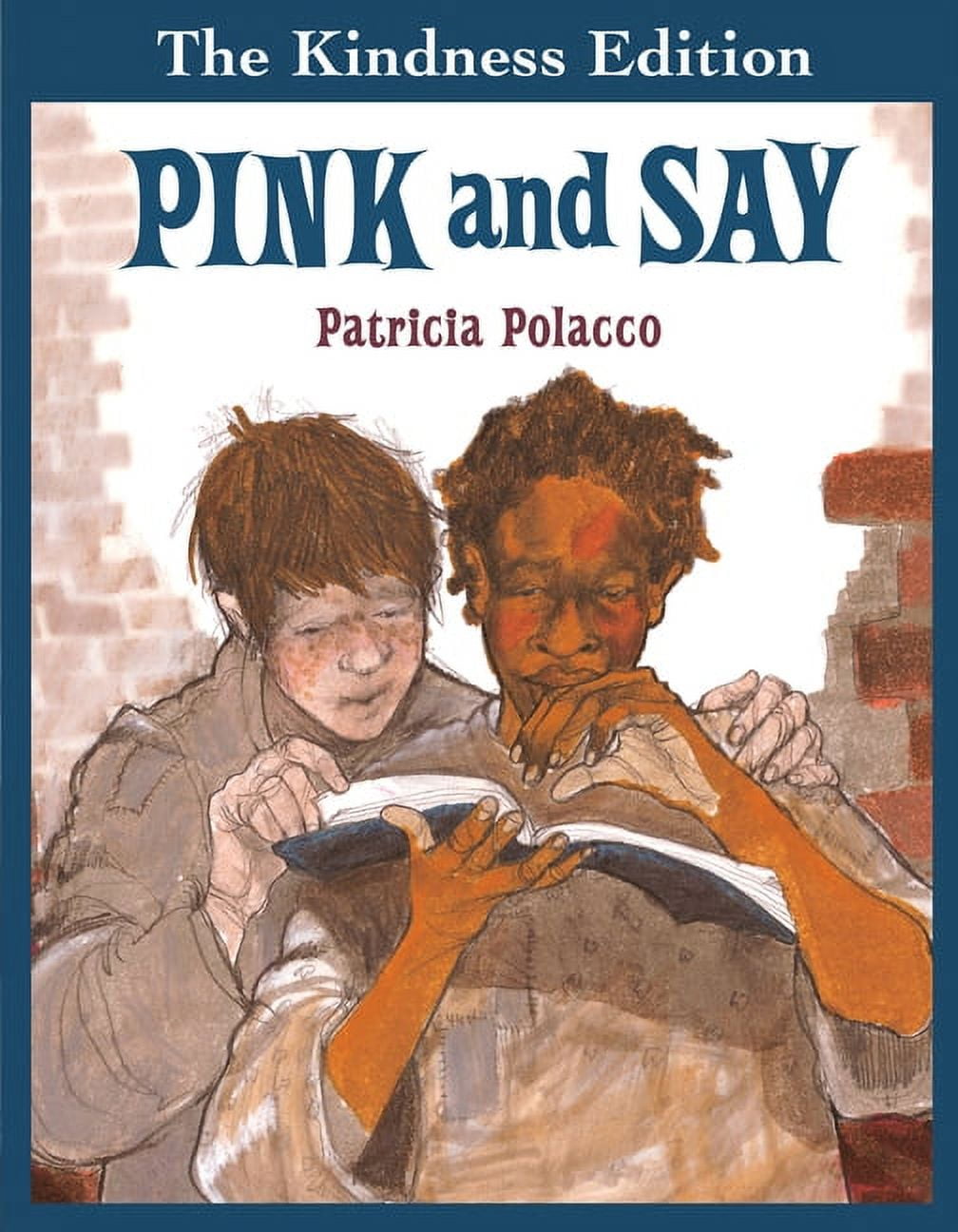 Pink and Say (Hardcover) 