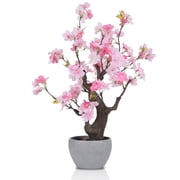 Artificial Pink Cherry Blossom Bonsai Tree Decor 17.7 Tall Faux Cherry Blossom Tree Potted Plant Desk Display with Bonsai Pot Decorative Artificial Flowers Realistic Wood for Home Office Decor