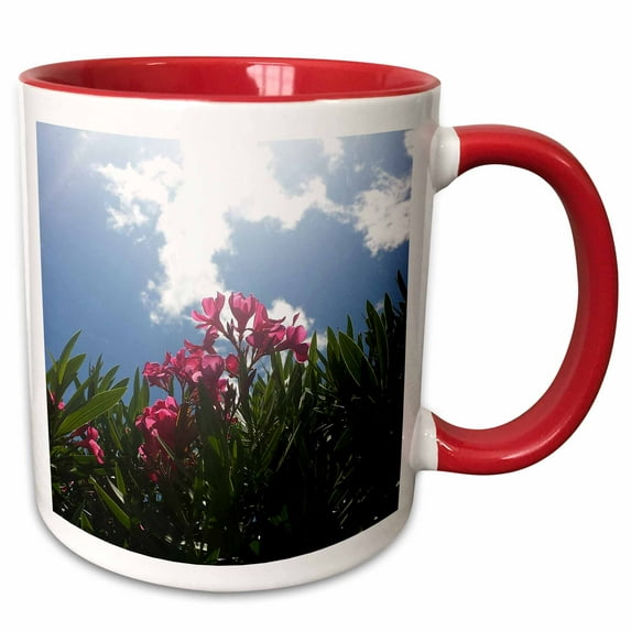 Pink flowers worshiping the sun. 15oz Two-Tone Red Mug mug-306707-10