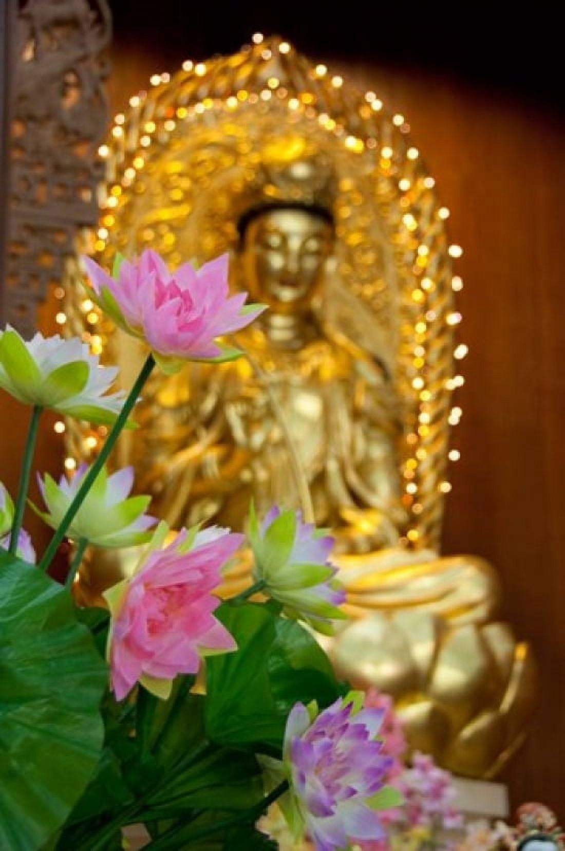 Pink lotus flowers in front of gold statue Kek Lok Si Temple Island of Penang Malaysia Canvas Art - Cindy Miller Hopkins DanitaDelimont (15 x 22)