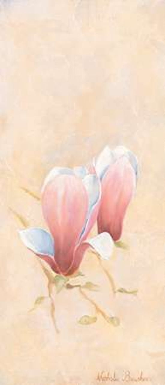 Pink magnolia 3-3 Canvas Art - Nathalie Boucher (10 x 20)