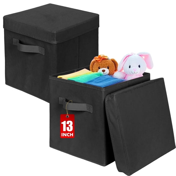 PinkSheep Collapsible Storage Bins with Lids, Foldable Fabric Storage Cubes Organizer Bins Basket(13" x 13"), Black, 2 Pack