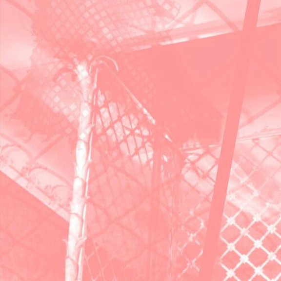 Pinkcourtesyphone - All Intensive Purposes - Music & Performance - CD