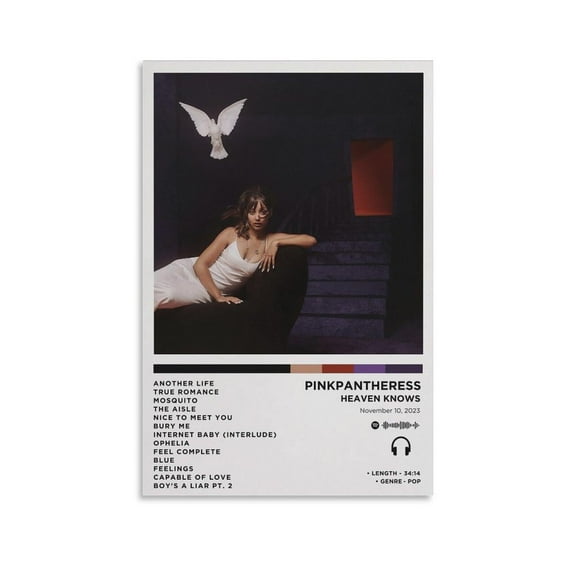 Pinkpantheress Heaven Knows Canvas Poster Wall Decorative Art Painting Living Room Bedroom Decoration Gift