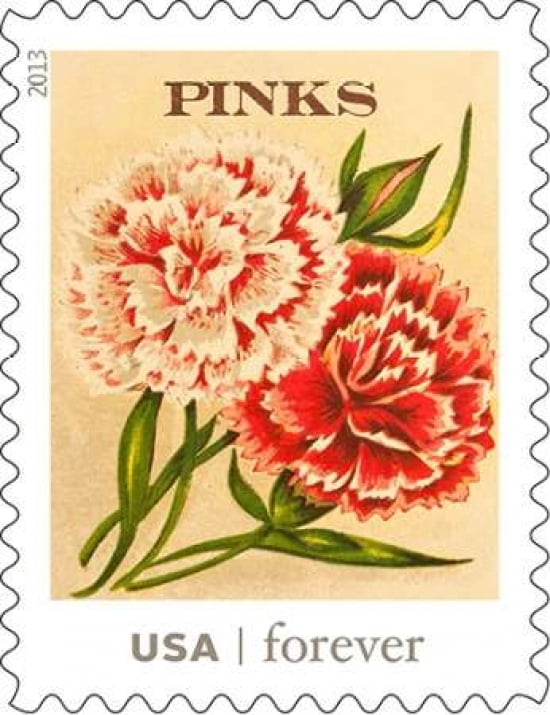 Pinks Canvas Art - US POSTAL SERVICE (22 x 28)