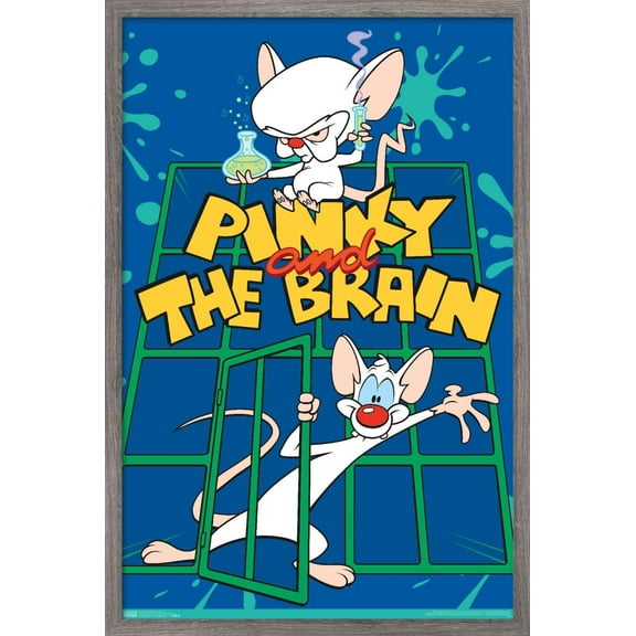 Pinky And The Brain - Key Art Wall Poster, 14.725" x 22.375", Framed