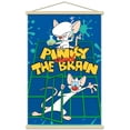 thumbnail image 1 of Pinky And The Brain - Key Art Wall Poster with Wooden Magnetic Frame, 22.375" x 34", 1 of 5