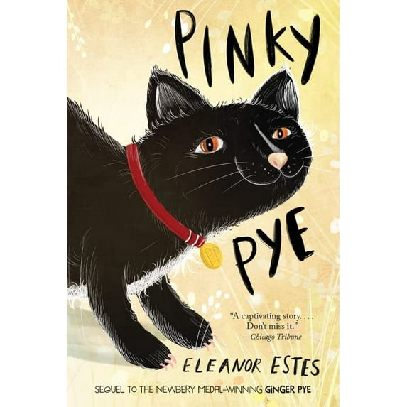 Pre-Owned Pinky Pye (Paperback) 054492780X 9780544927803