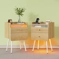 thumbnail image 1 of Pinmoco Set of 2 Tall Nightstand, 2 Drawers LED Bedside Tables with Charging Station and Top Fences, Natual Oak, 1 of 8