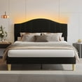 thumbnail image 1 of Pinmoco Queen Upholstered Bed Frame with Adjustable Arc-shaped Headboard, LED Platform Bed, Teddy Velvet Black, 1 of 8