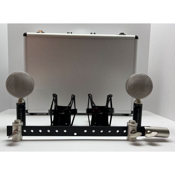 Micrfonos Pinnacle Pinnacle Microphones FAT TOP BLACK RIBBON STEREO PAIR
