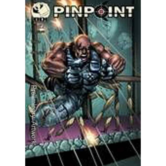 Pinpoint #2 VF ; Big Dog Ink Comic Book