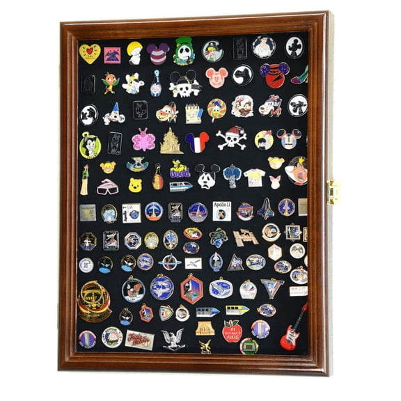Pins, Ribbons, Medals, Buttons, Shells Showcase Display Case Cabinet