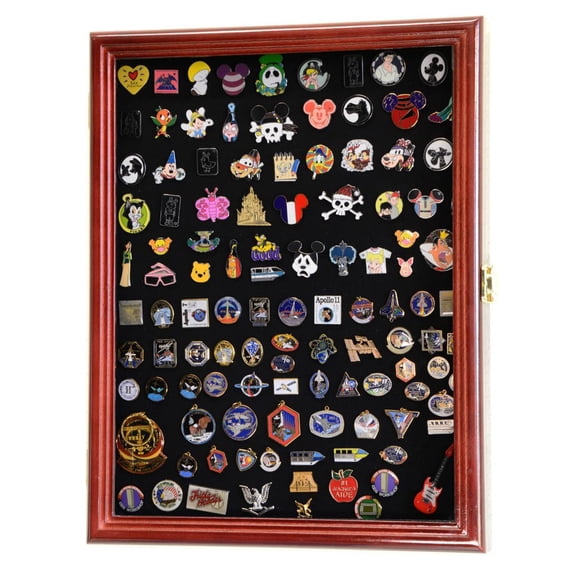 Pins, Ribbons, Medals, Buttons, Shells Showcase Display Case Cabinet