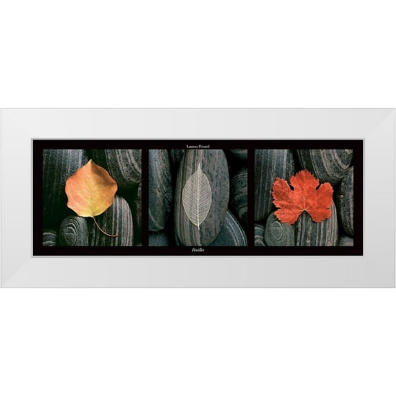Pinsard, Laurent 14x8 White Modern Wood Framed Museum Art Print Titled - Feuilles