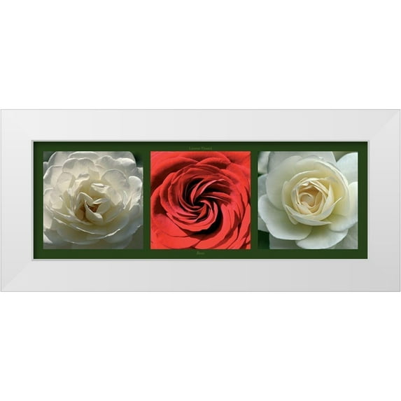 Pinsard, Laurent 24x11 White Modern Wood Framed Museum Art Print Titled - Roses II