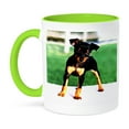 thumbnail image 1 of 3dRose, Pinscher Puppy, 11oz Two-Tone Green Mug, 1 of 7