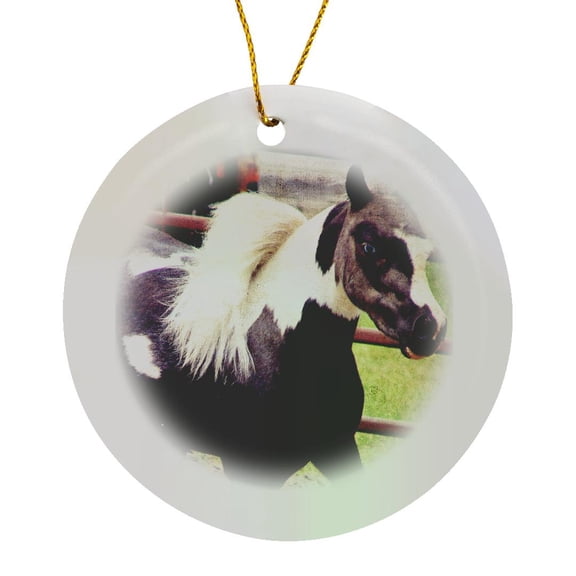 3drose, Pinto Mini Horse with Blue Eye, Circle Porcelain Ornament