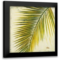 Pinto, Patricia 12x12 Black Modern Framed Museum Art Print Titled - Baru Palm I